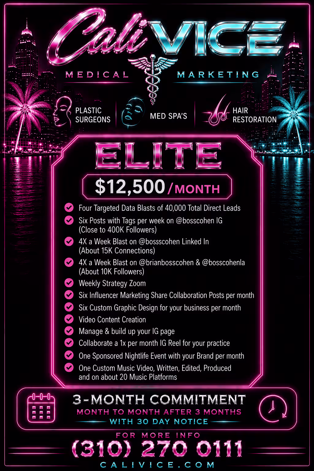 CaliVice Homepage Flyer