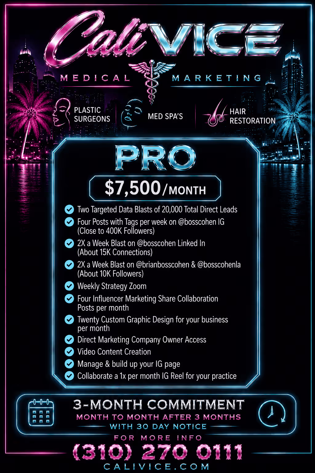 CaliVice Homepage Flyer