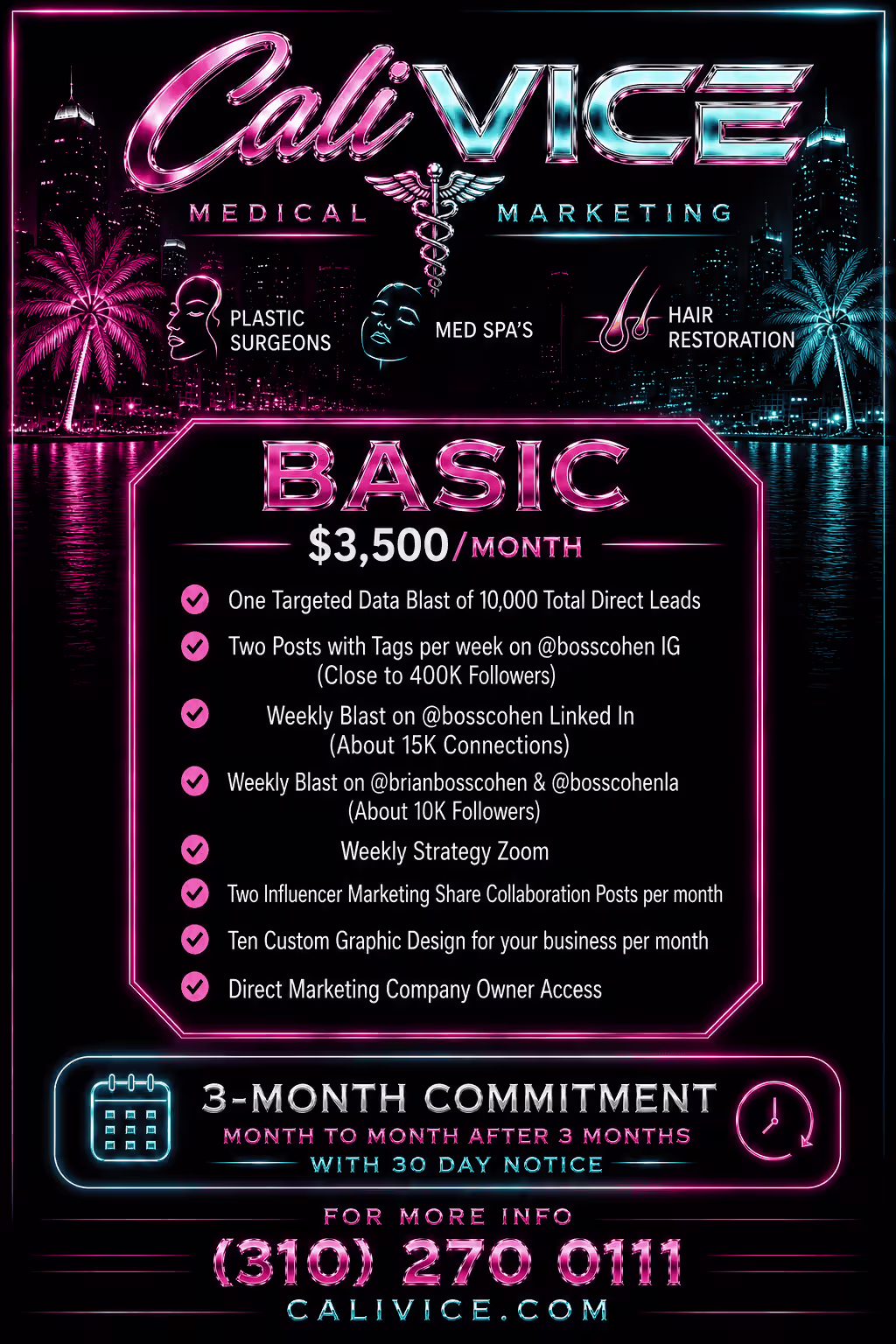 CaliVice Homepage Flyer